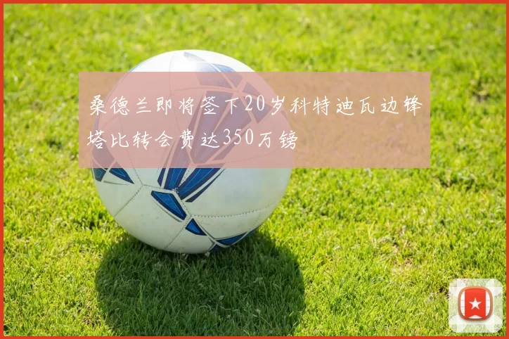 桑德兰即将签下20岁科特迪瓦边锋塔比转会费达350万镑
